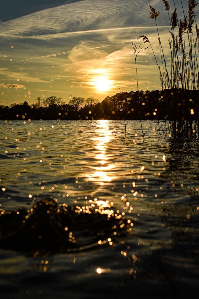 Capturing Breathtaking Moments: A Photographer’s Guide